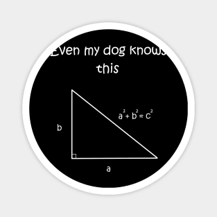 Even my dog knows pythagorean theorem Magnet